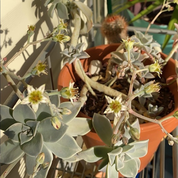 Meet your seller!!! - Picture 3 of 3